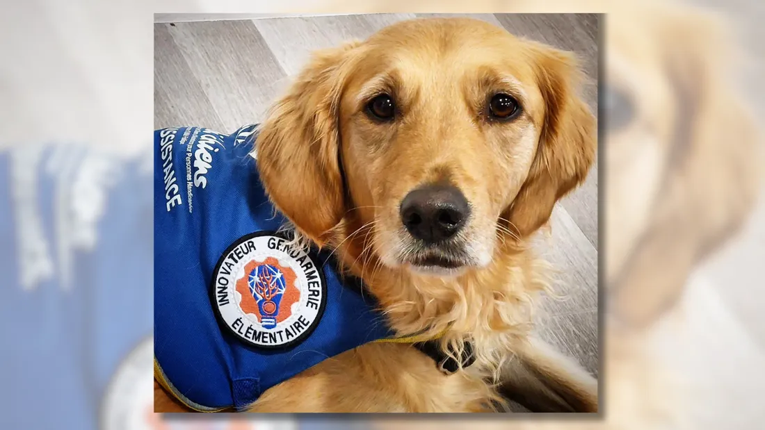 En un an, Rumba a accompagné plus de 150 personnes lors de leurs dépositions.