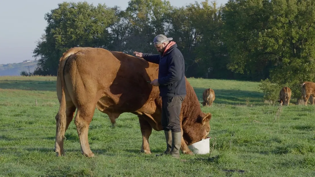 Edouard Bergeon a fait de l'agriculteur Jérôme Bayle la figue centrale de son documentaire Rural 