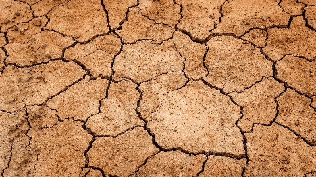 sécheresse