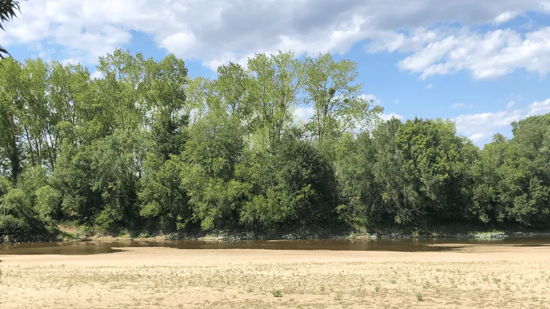 La Loire victime de séchersse