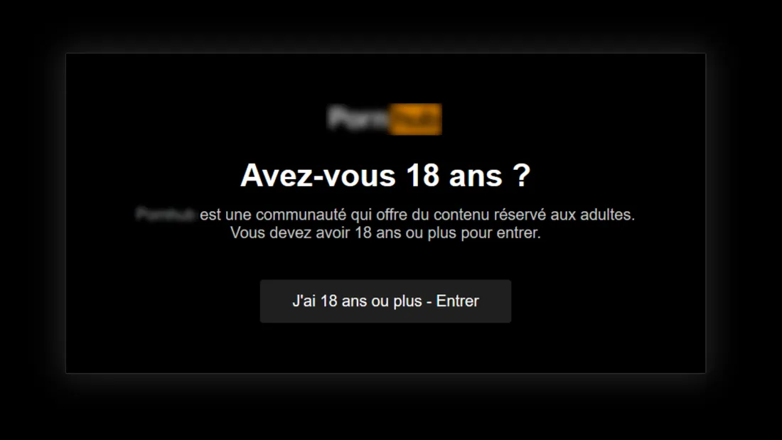 Pornographie : la justice saisie pour bloquer cinq sites accessibles aux mineurs