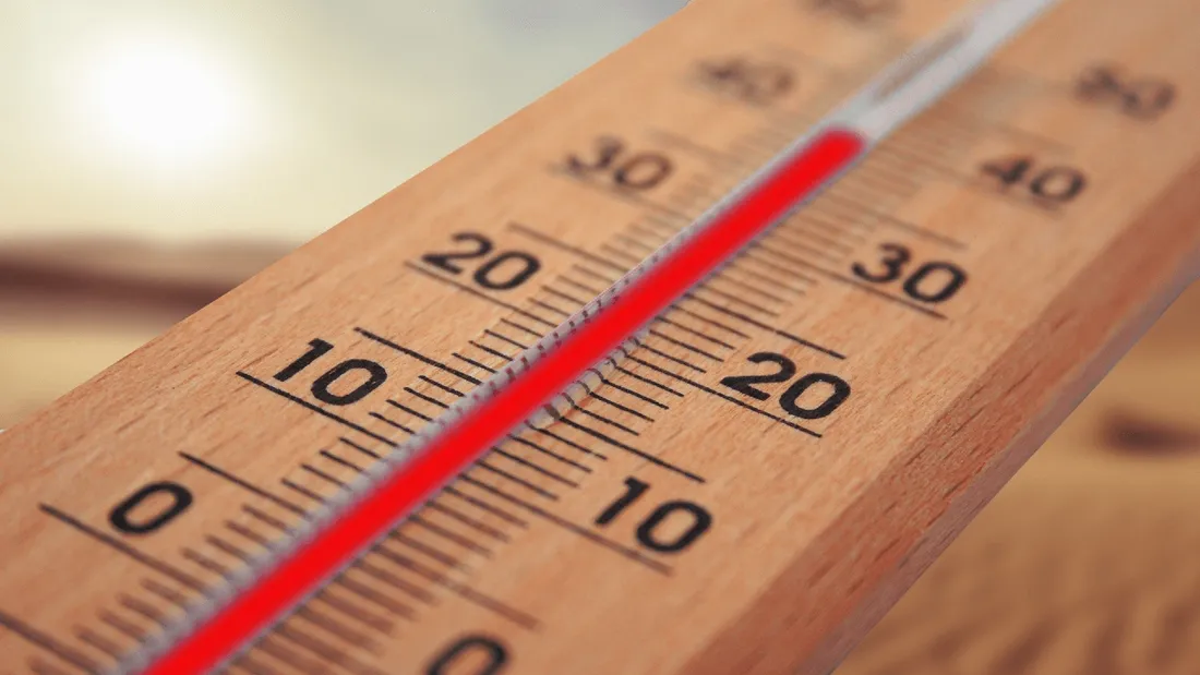 Canicule