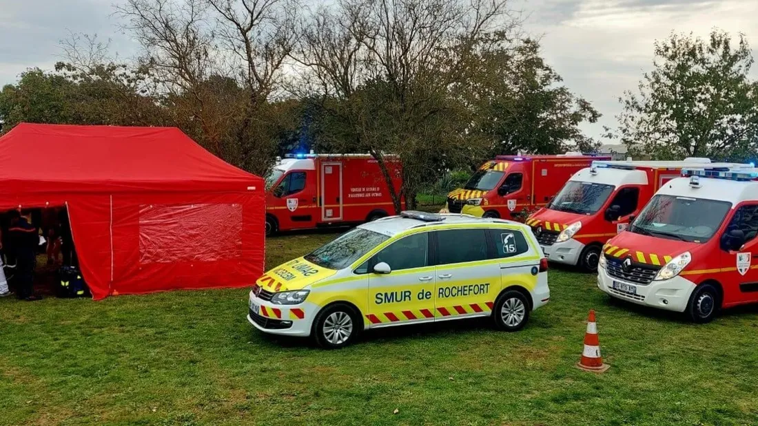 Secours piqures frelons Trizay