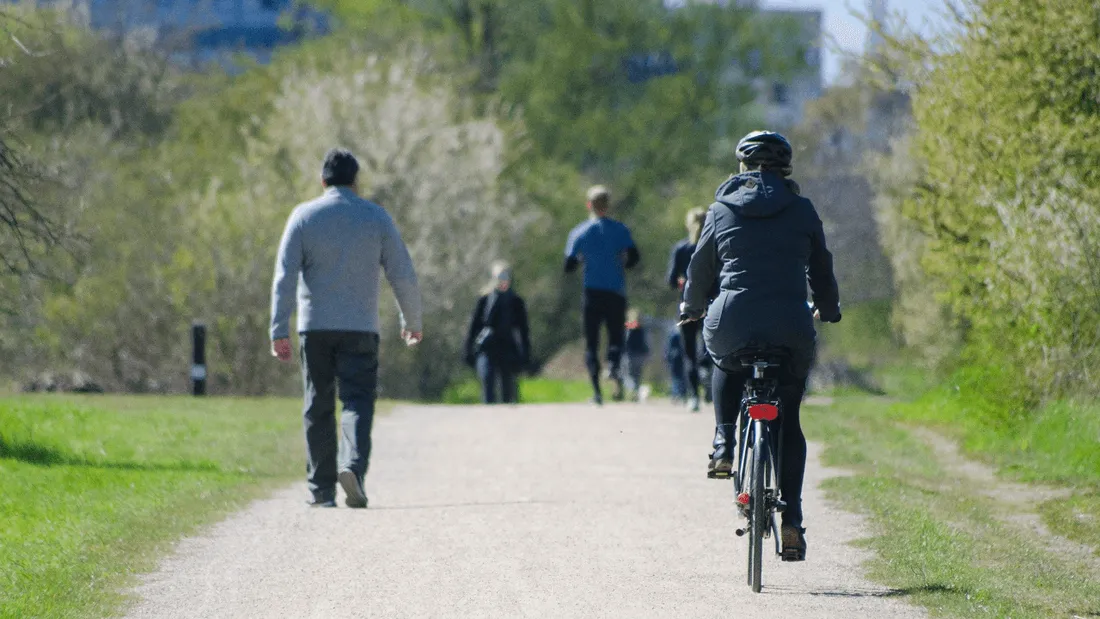 Les Français sont 13% seulement à utiliser régulièrement le vélo.
