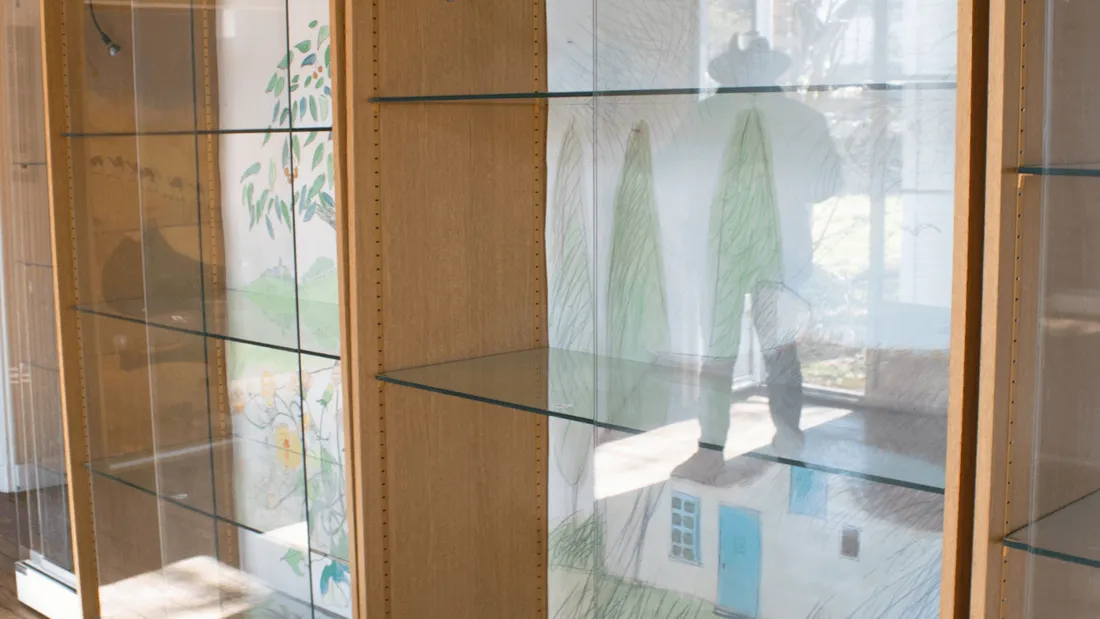 Vitrine oiseaux Trignac