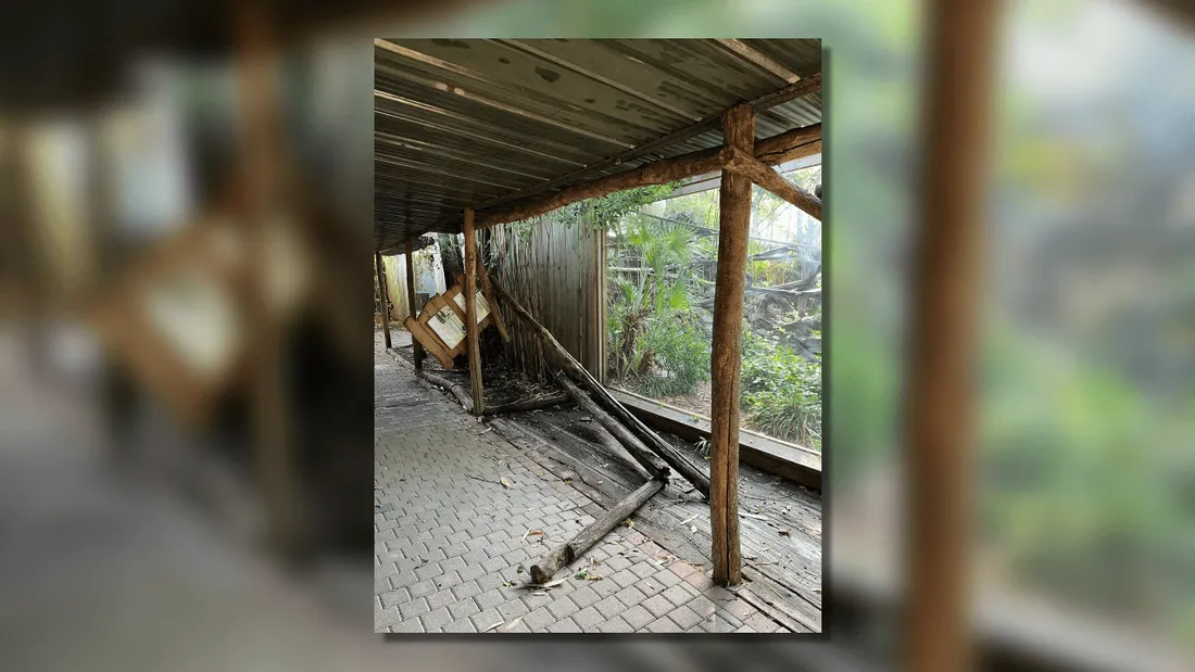 Plusieurs secteurs du parc ont été touchés par les orages et les vents violents