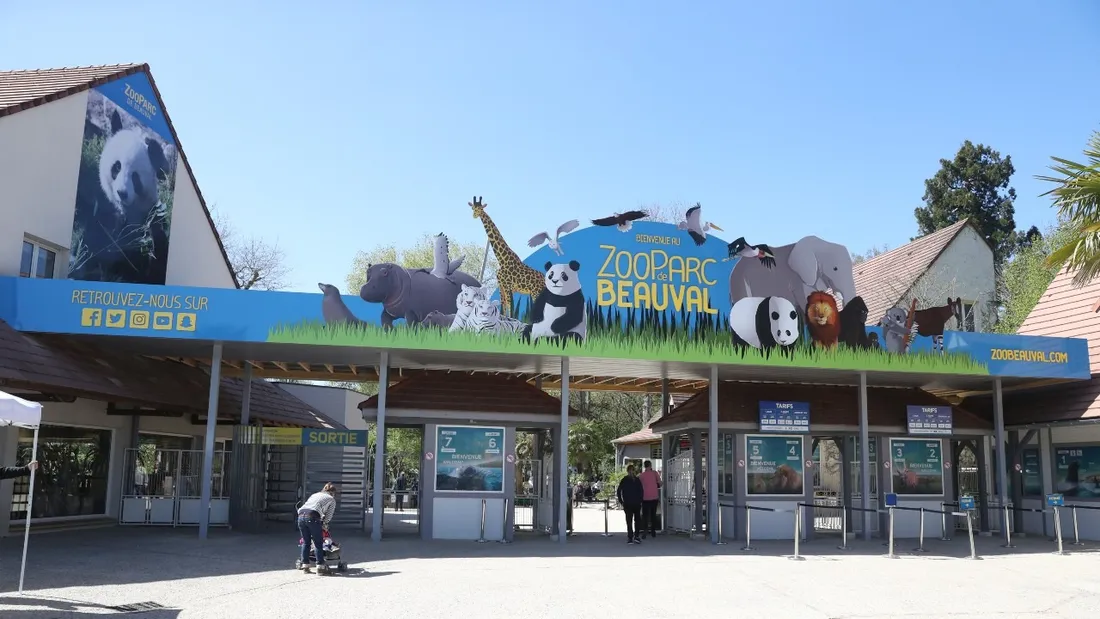 Zoo de Beauval