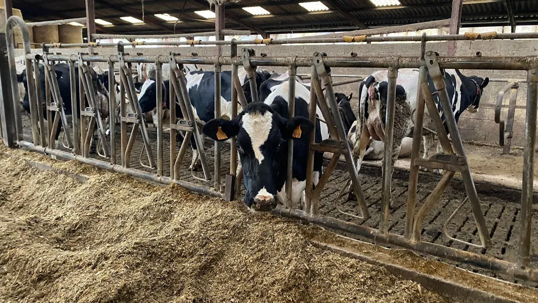 Ferme de Christophe Deglaire