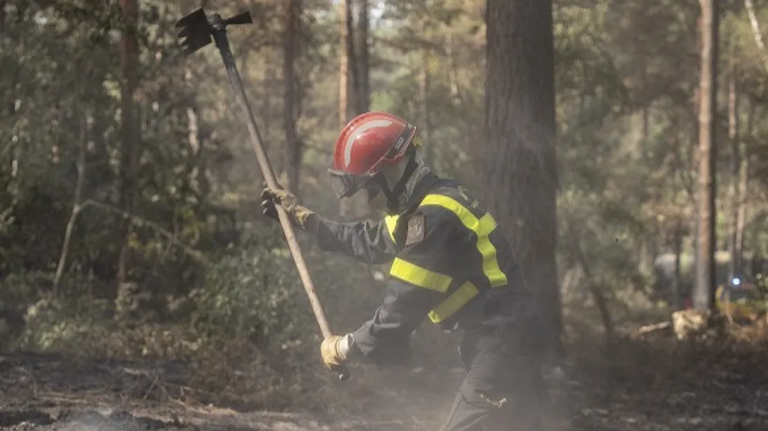 3 rg incendie fontainebleau
