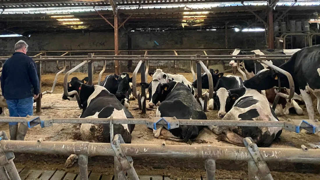 Ferme de Christophe Deglaire