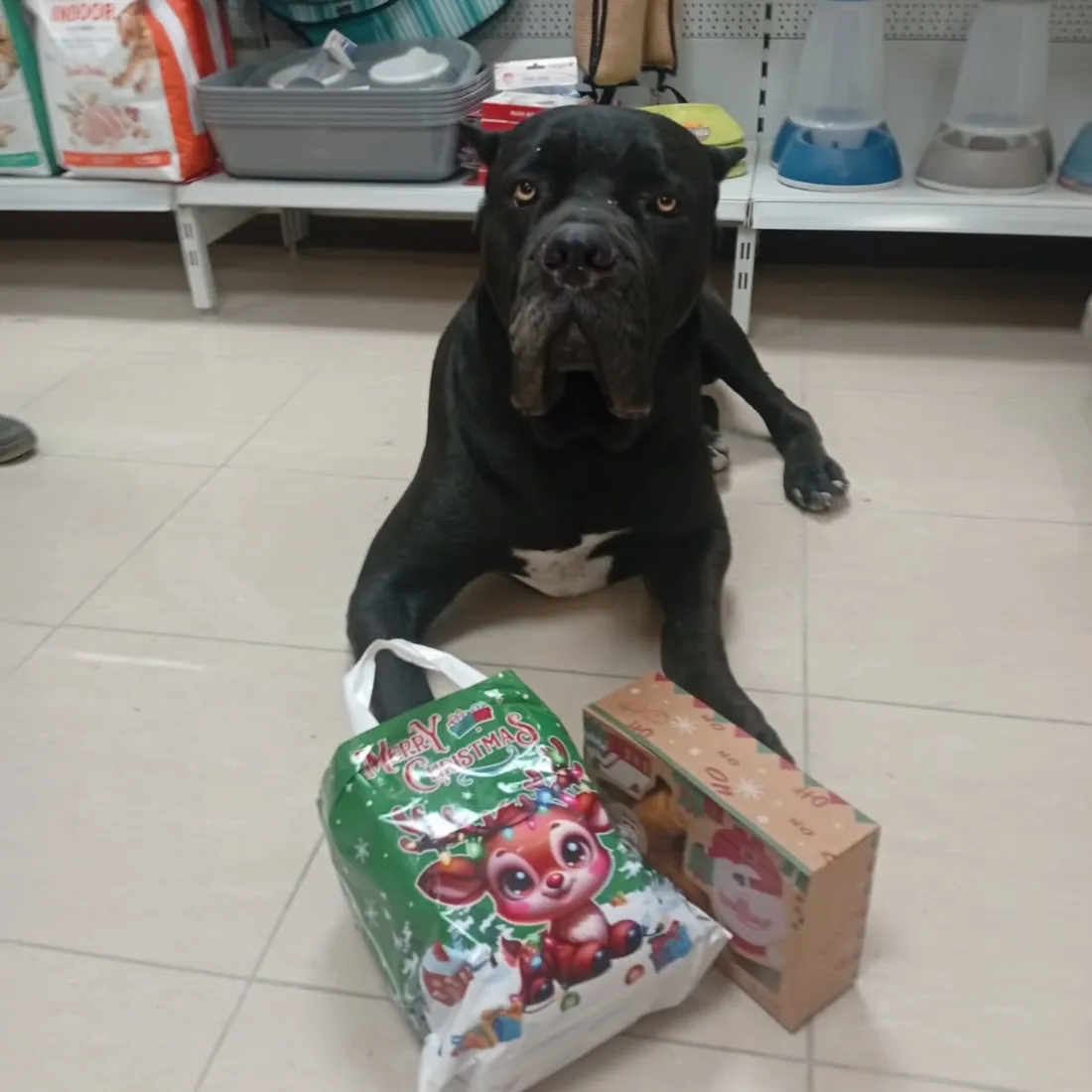 Pierre Nutrition animale