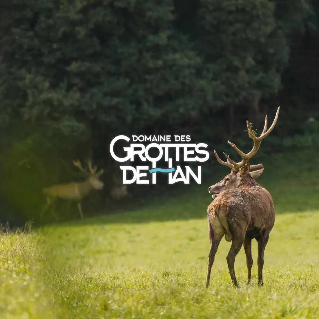 SEM-18 - GROTTES DE HAN