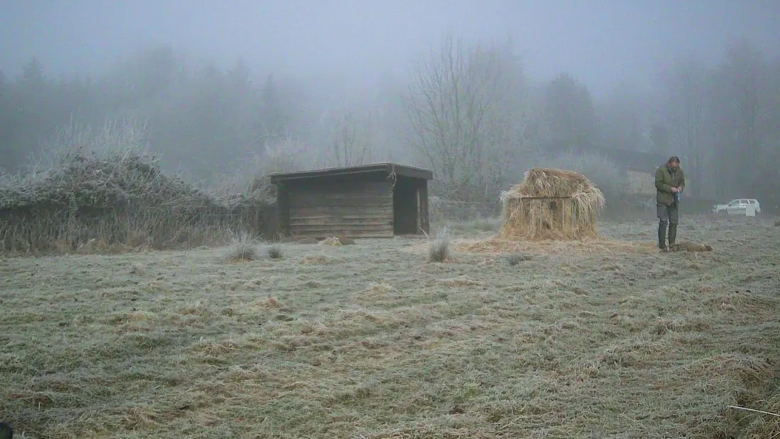 Fédération des éleveurs de moutons des Ardennes