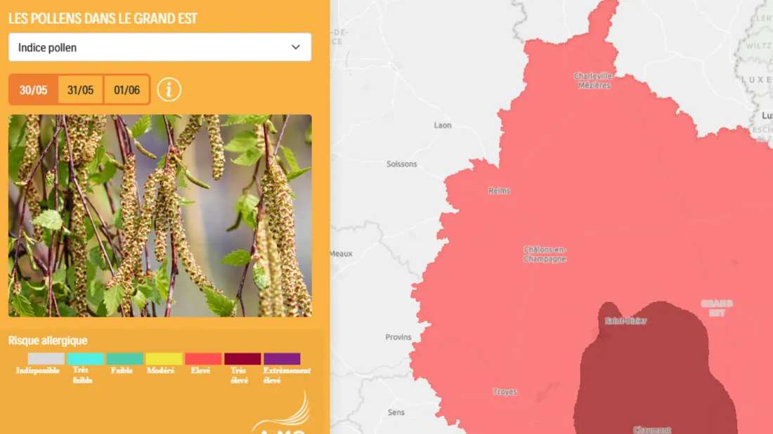 Carte Atmo Grand Est