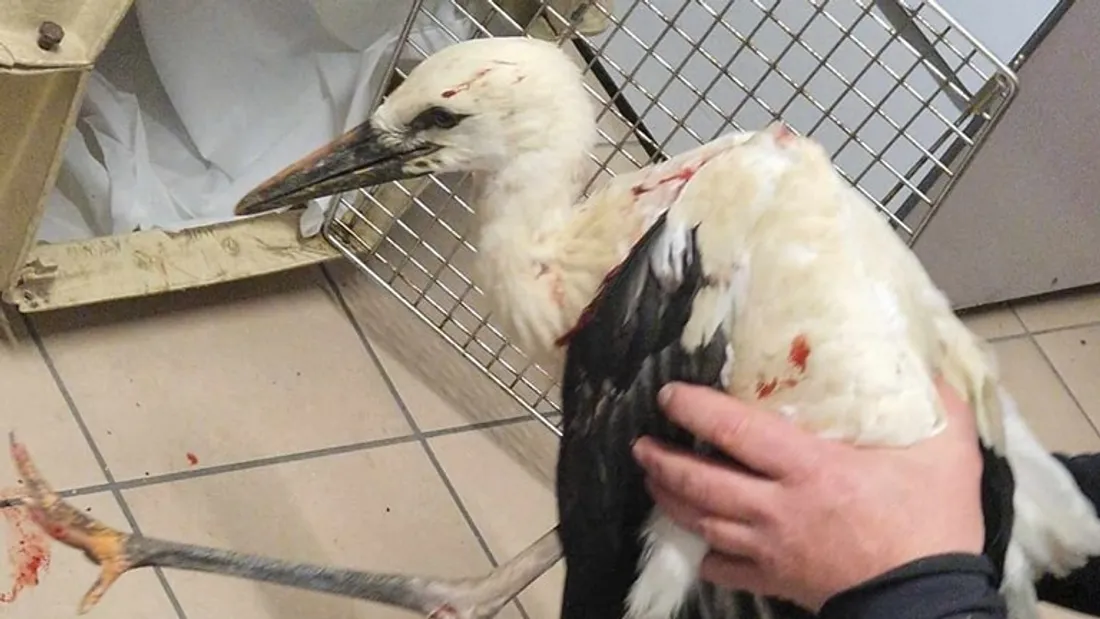 Facebook SDIS Ardennes