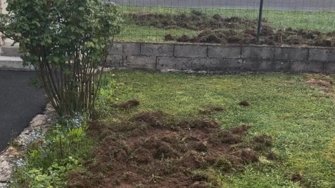 Jardin d’une habitante du lotissement