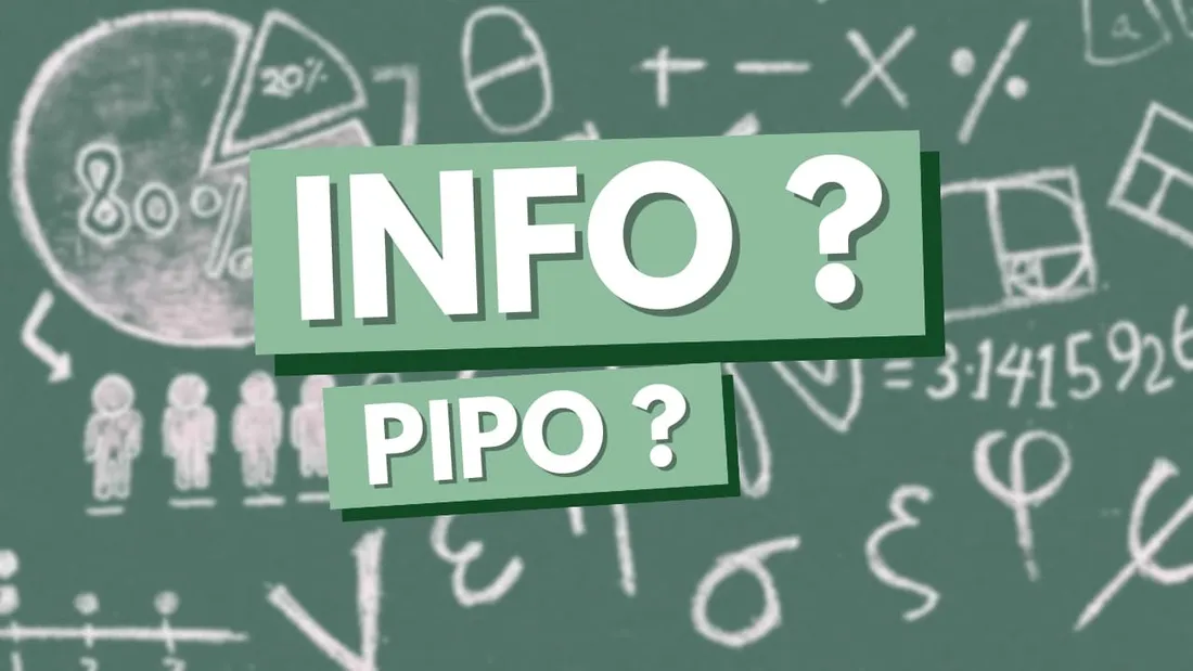 INFO/PIPO