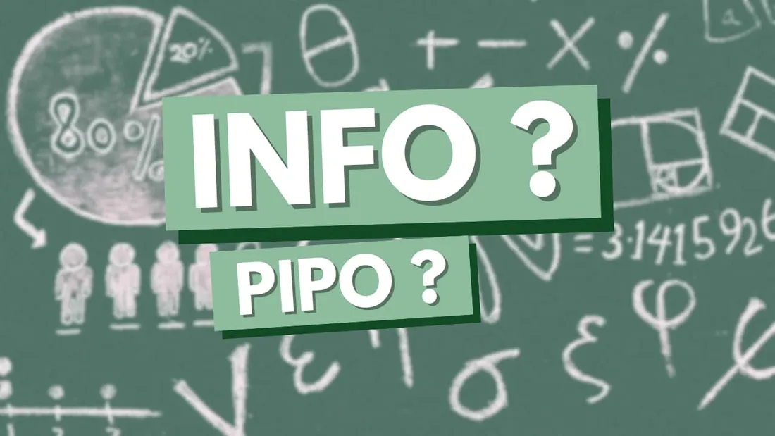 INFO/PIPO