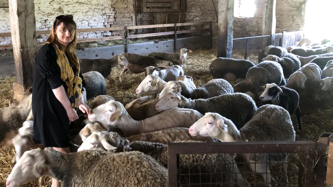 Vanessa avec ses brebis 