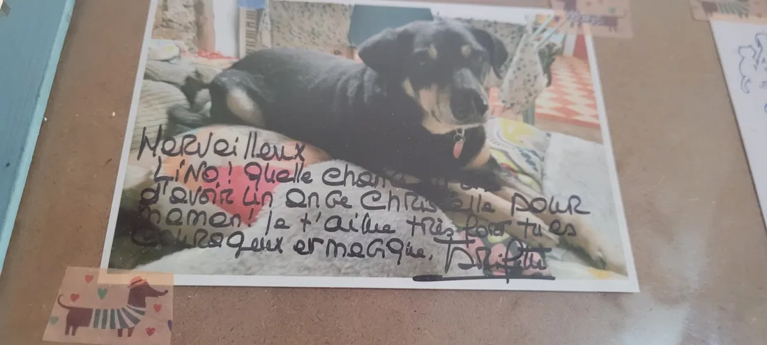 Lettre brigitte bardot