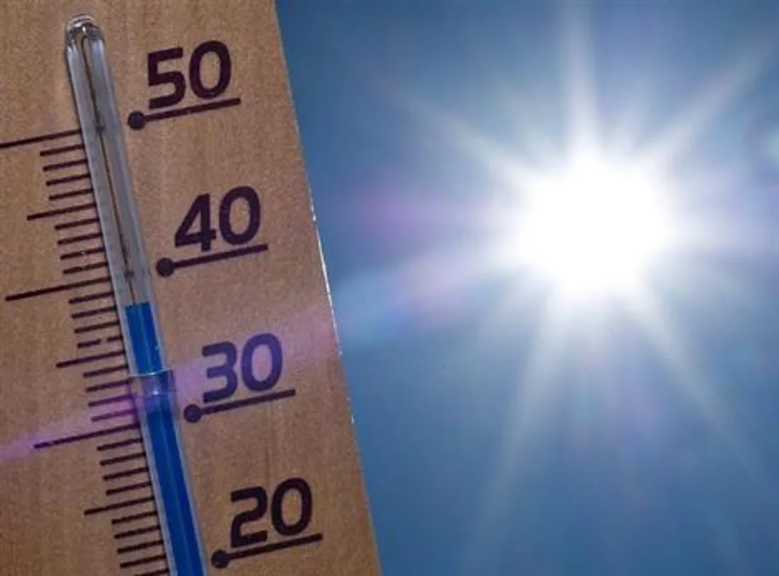canicule