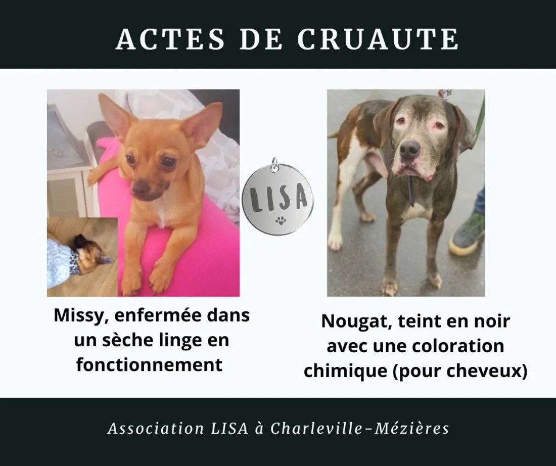 cruauté animale LISA