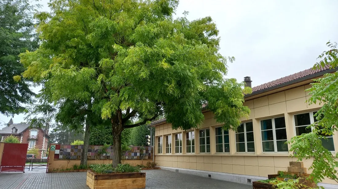 ecole saint julien Charleville
