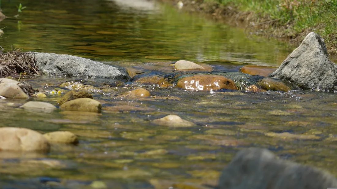 rivière pêche