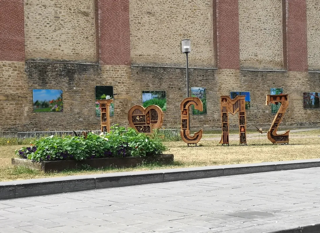 Hotel à insectes I LOVE CMZ