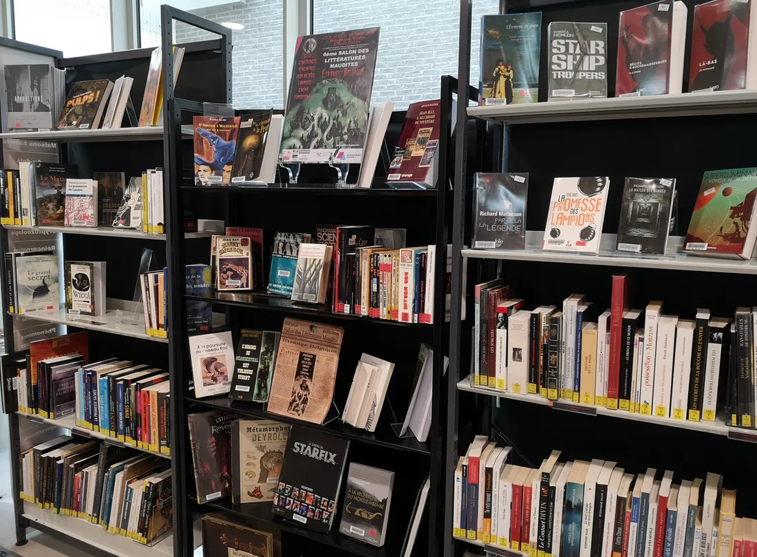 livres médiathèque