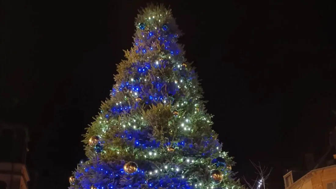 Sapin de Noël Sedan 23