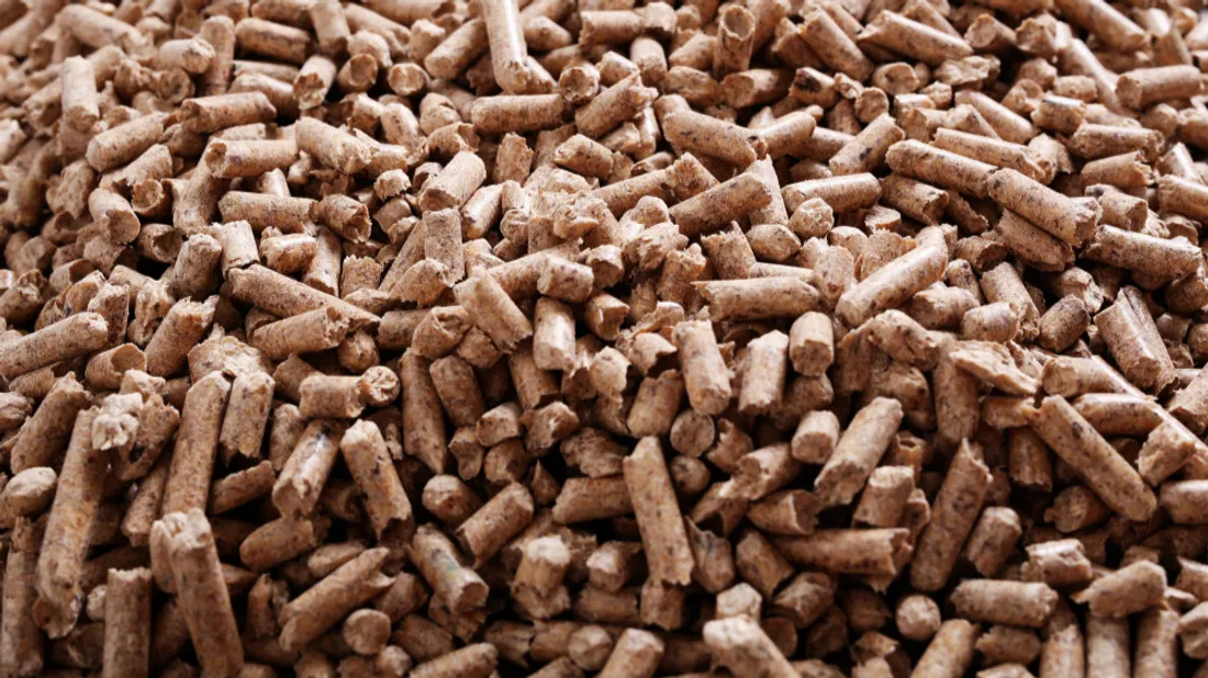 Pellets - illustration