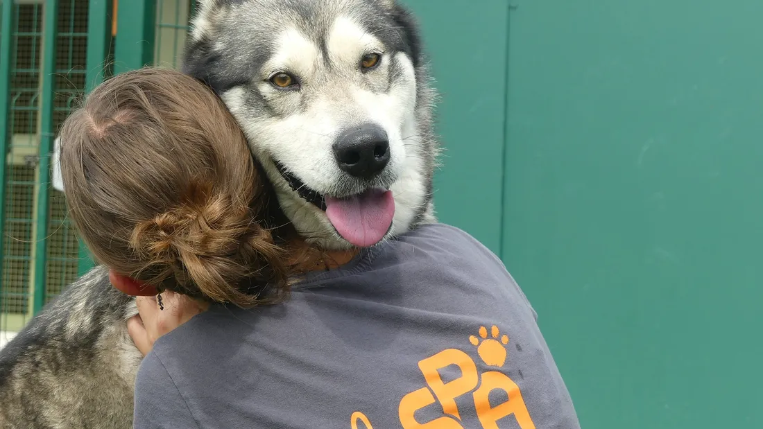 SPA Maubert Fontaine