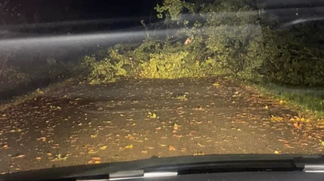 Crédit Photo : Ludovic auditeur rvm