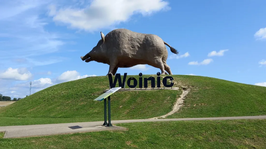 Woinic