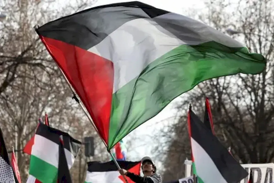 Reconnaissance historique : la France et plusieurs pays reconnaissent l'État de Palestine  