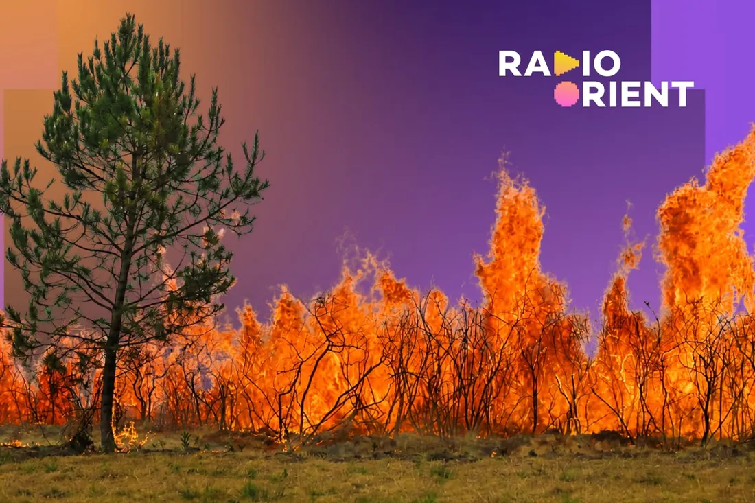 RO 