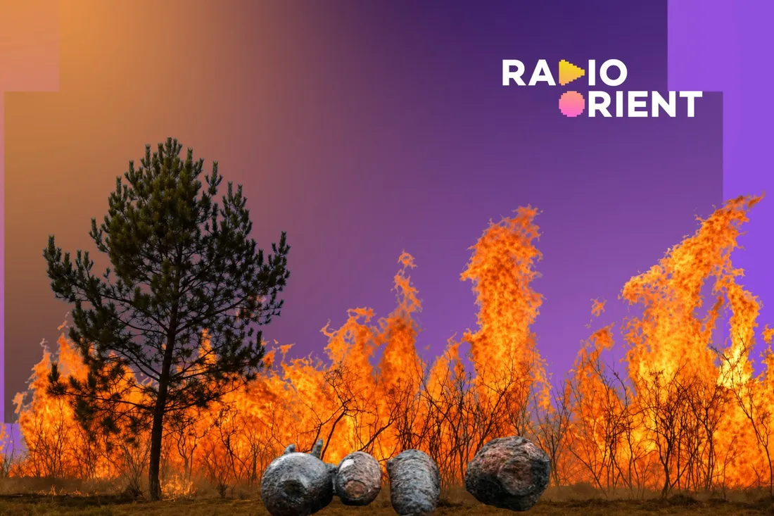 ro