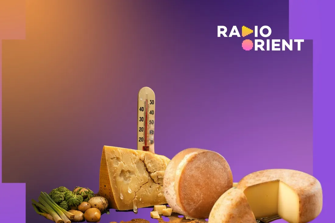 Quand le climat devient un risque de crédit pour le fromage italien
