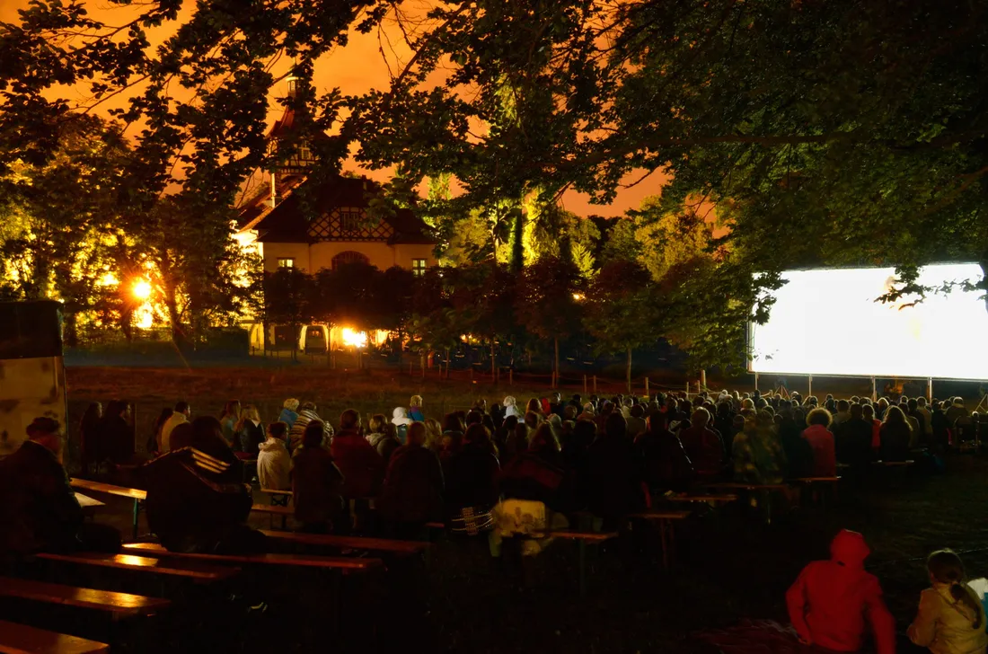 Projection ciné sour les étoiles au zoo de Mulhouse