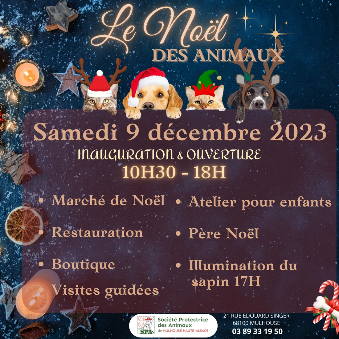 Le Noël des Animaux