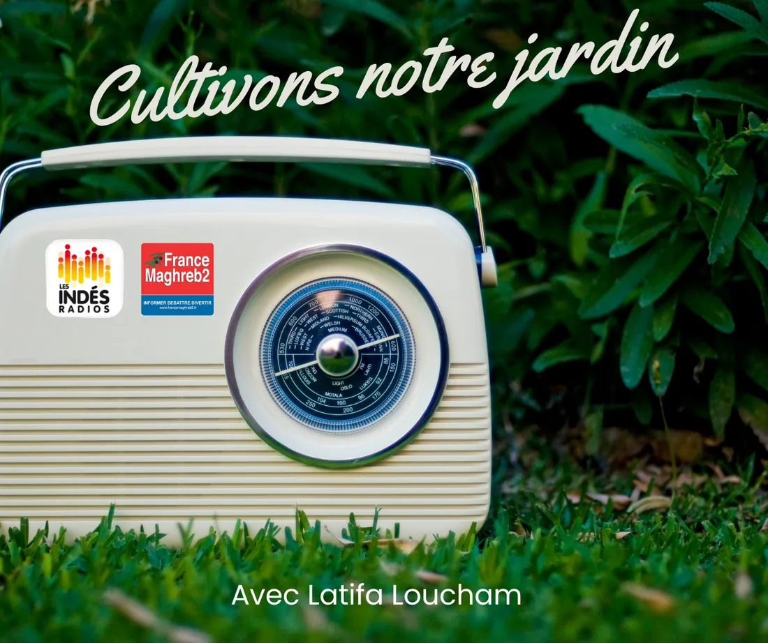 Cultivons notre jardin