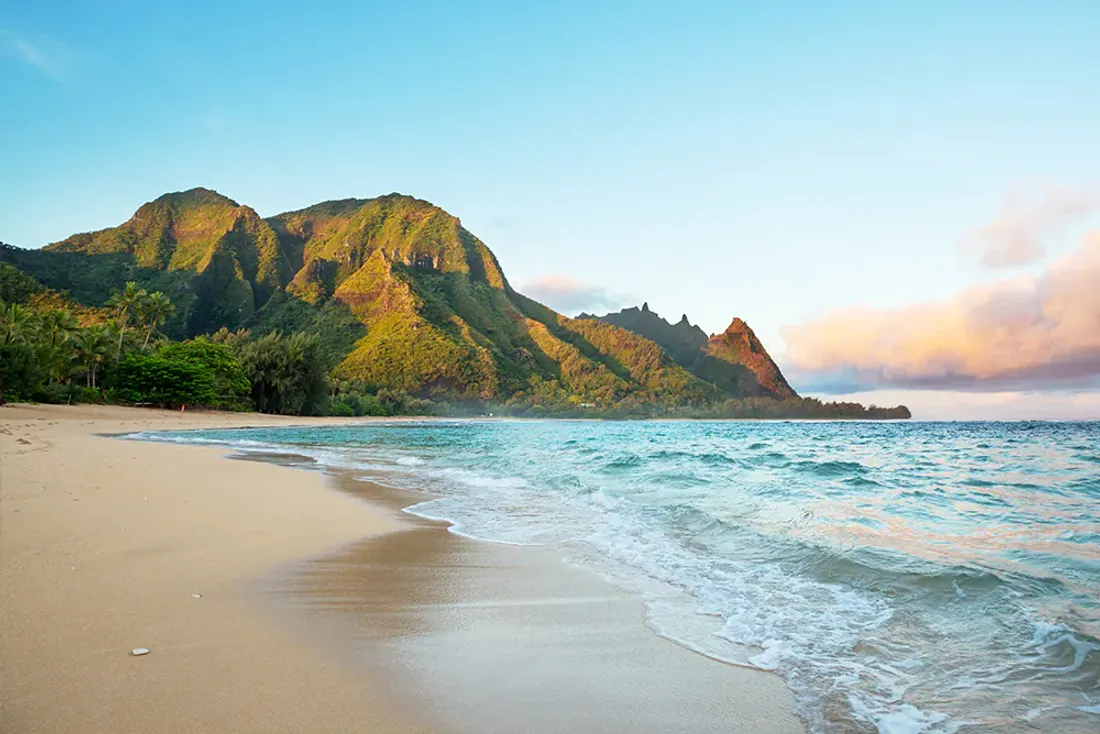 Il fait sa demande à HawaÏ... sa réponse choque tout le monde