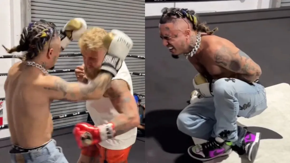 Boxe : Jake Paul met KO Lil Pump 