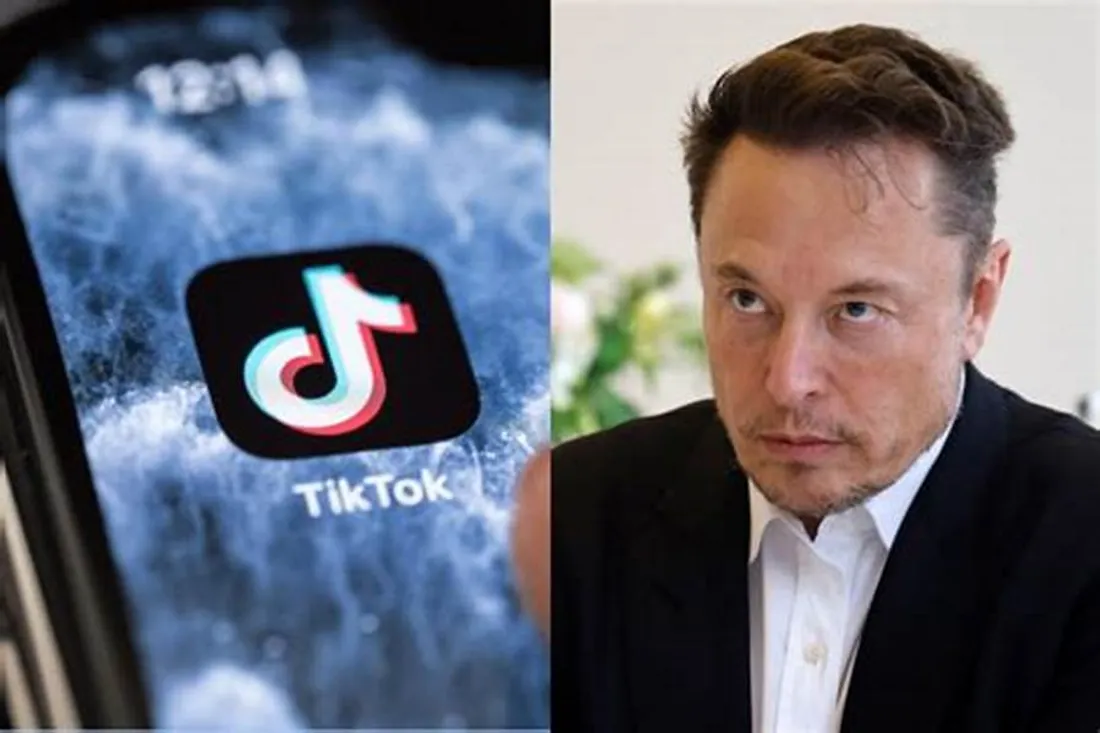 Elon Musk en Lice pour l'acquisition de TikTok ?