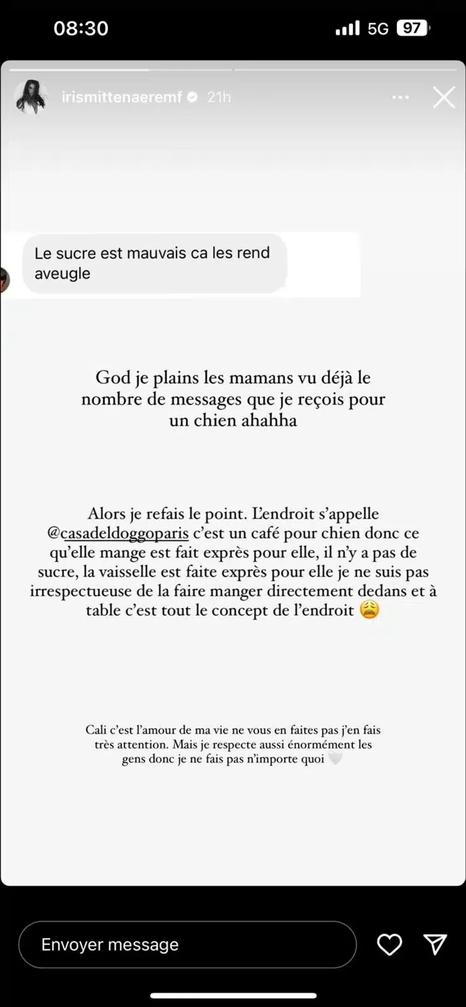 Iris Mittenaere répond aux accusations de négligence envers son chiot
