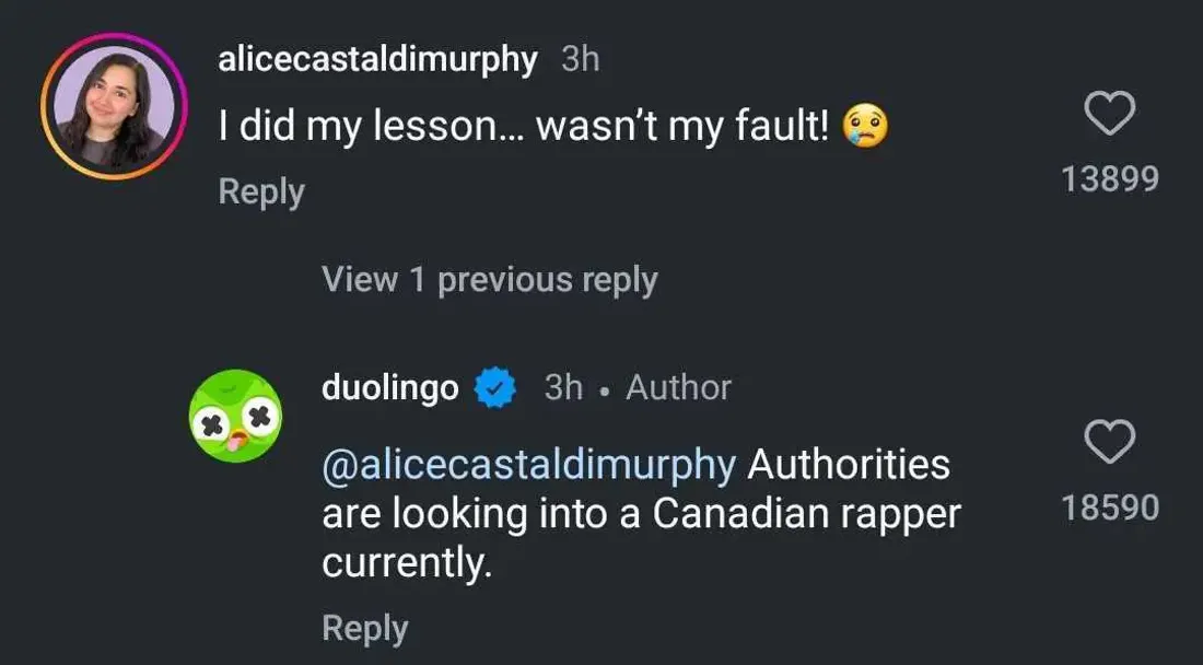 Duolingo taquine Drake en annonçant la 'mort' de son emblématique mascotte chouette