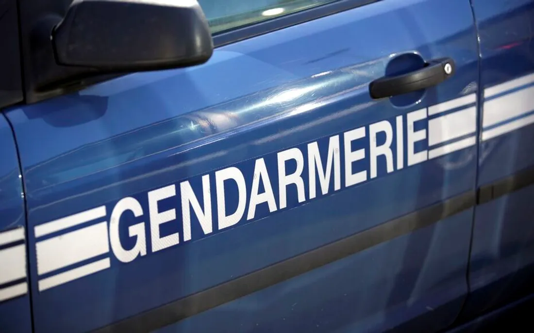 Scandale à Dijon : un septuagénaire arrêté pour des abus d'enfants en ligne