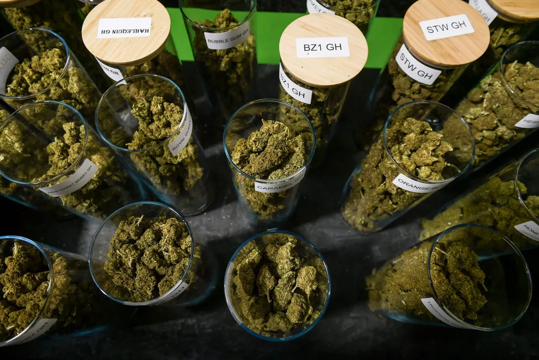 CBD : la vente officiellement légalisée par l'État !