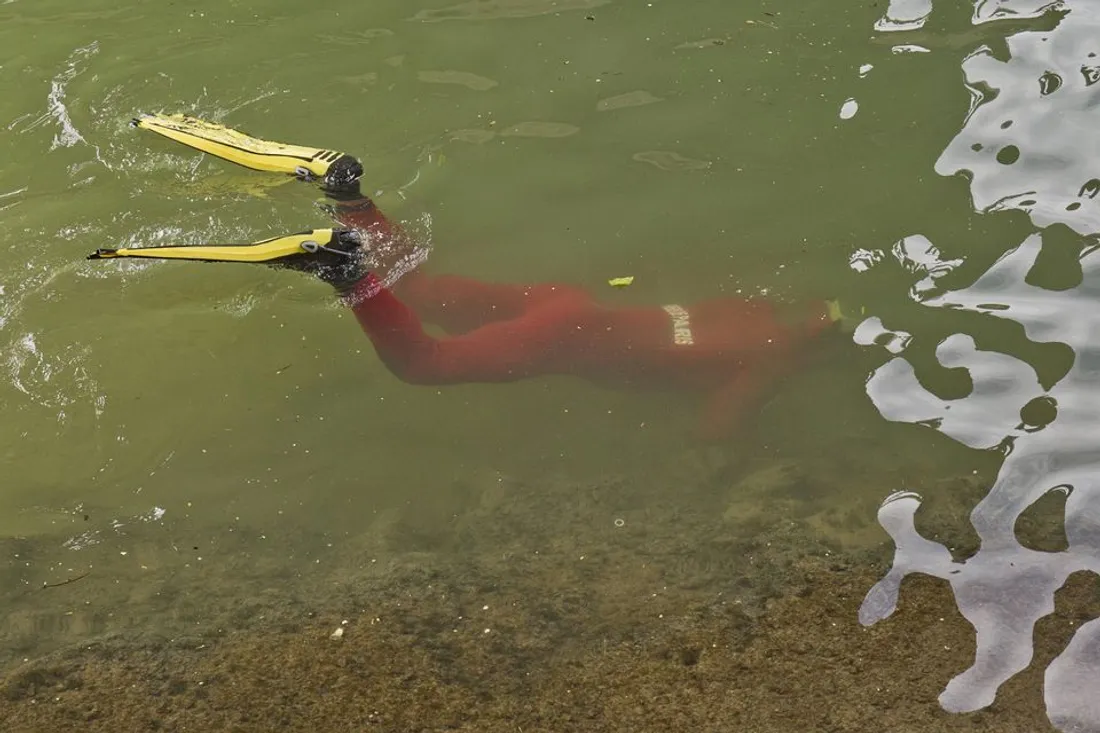 Découverte macabre de restes humains au bord de la Seine dans les Yvelines